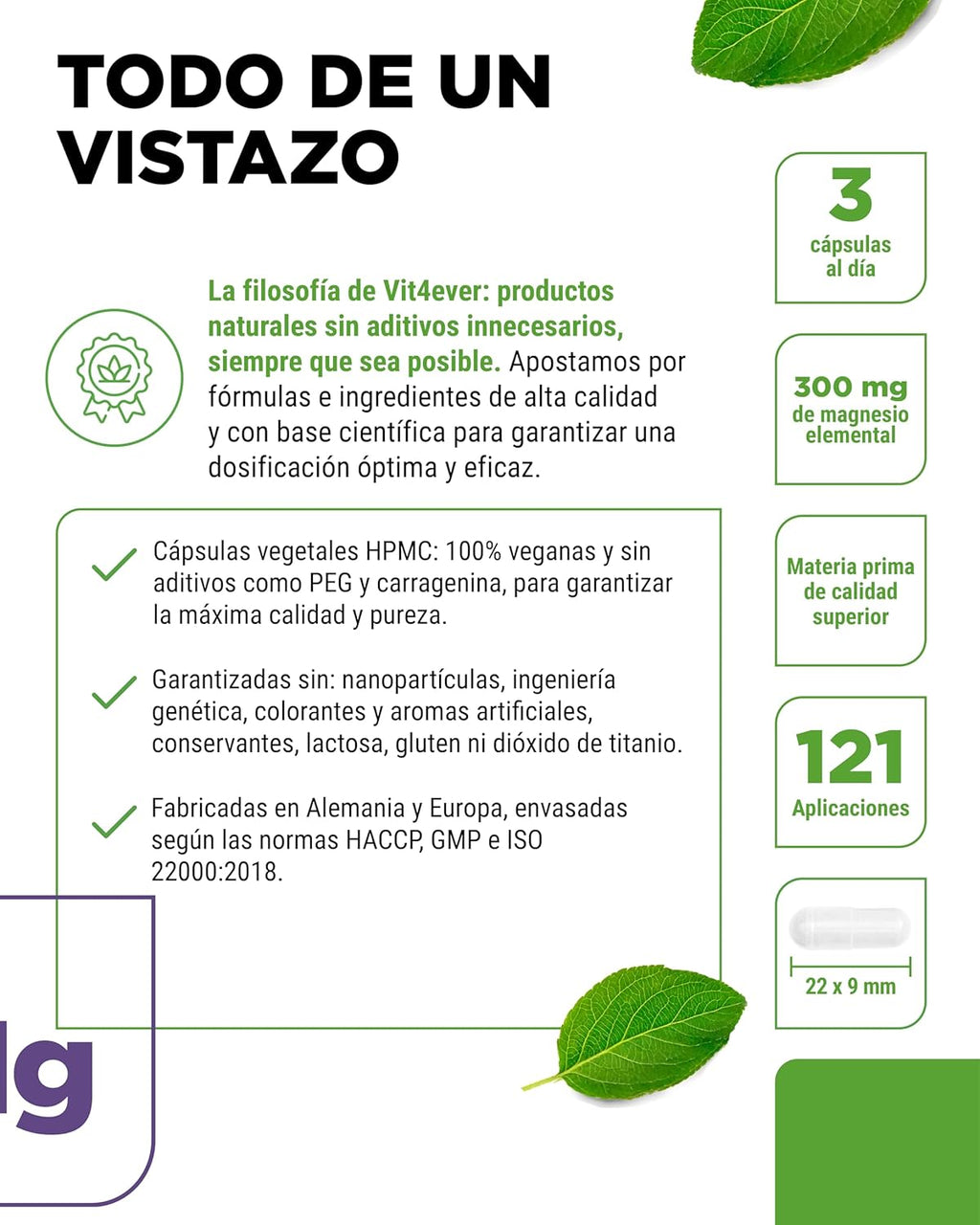 Bisglicinato De Magnesio - 365 Cápsulas - 300 Mg De Magnesio Elemental Por Dosis Diaria - Premium: Magnesio Quelado - Vegano - Alta Dosis