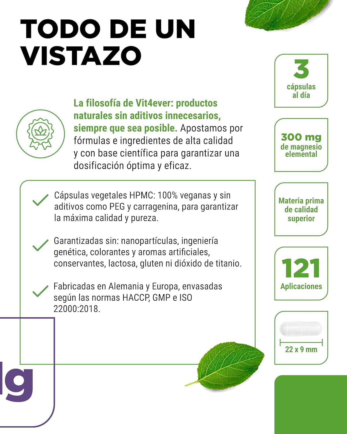 Bisglicinato De Magnesio - 365 Cápsulas - 300 Mg De Magnesio Elemental Por Dosis Diaria - Premium: Magnesio Quelado - Vegano - Alta Dosis