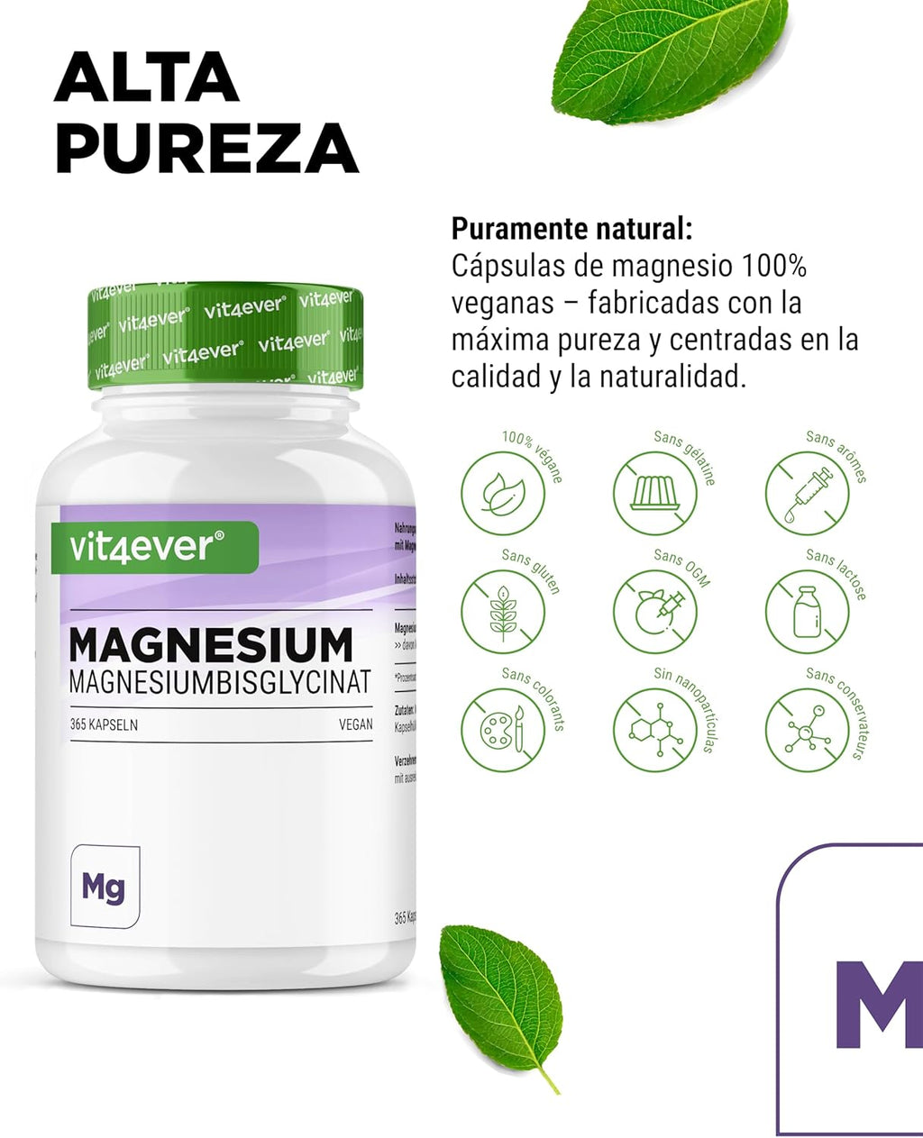 Bisglicinato De Magnesio - 365 Cápsulas - 300 Mg De Magnesio Elemental Por Dosis Diaria - Premium: Magnesio Quelado - Vegano - Alta Dosis