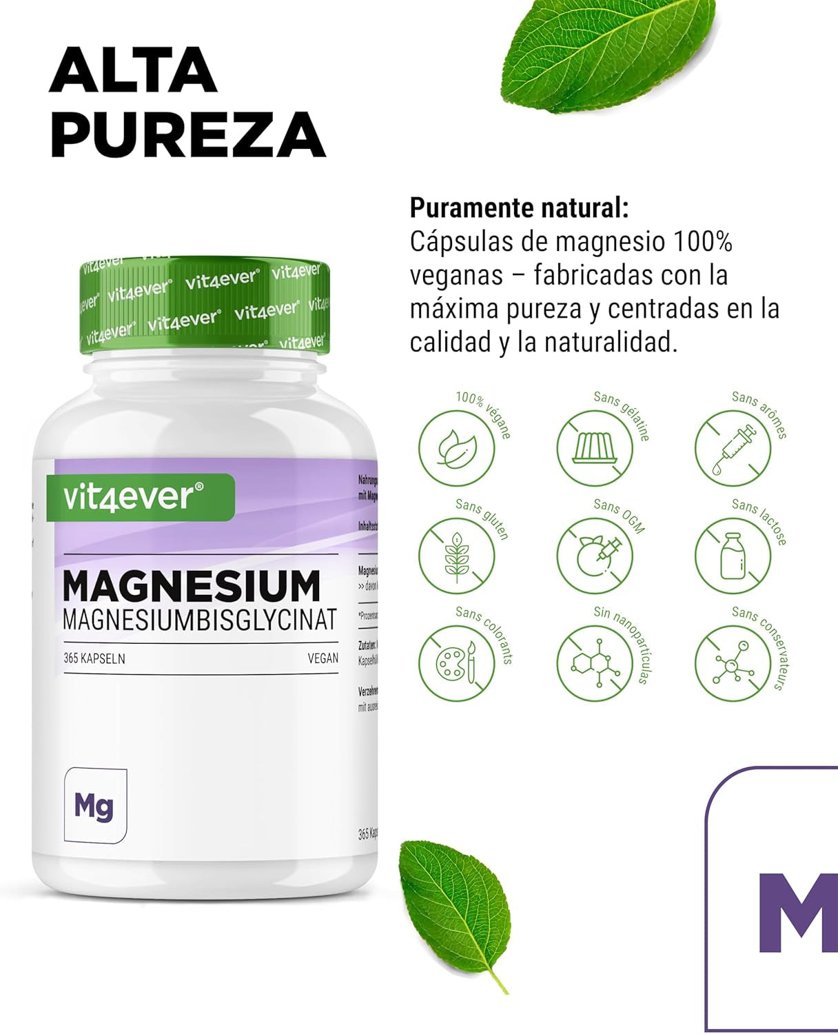 Bisglicinato De Magnesio - 365 Cápsulas - 300 Mg De Magnesio Elemental Por Dosis Diaria - Premium: Magnesio Quelado - Vegano - Alta Dosis